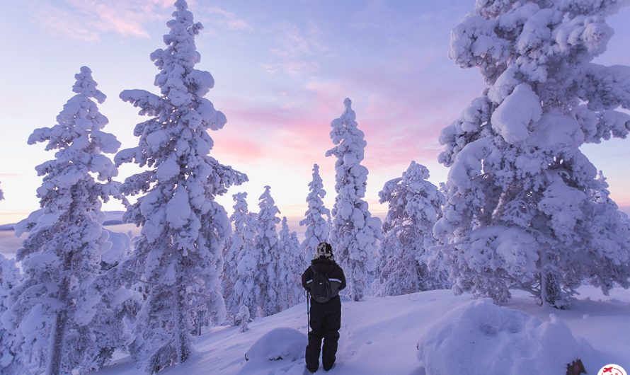 Guide de voyage en Laponie