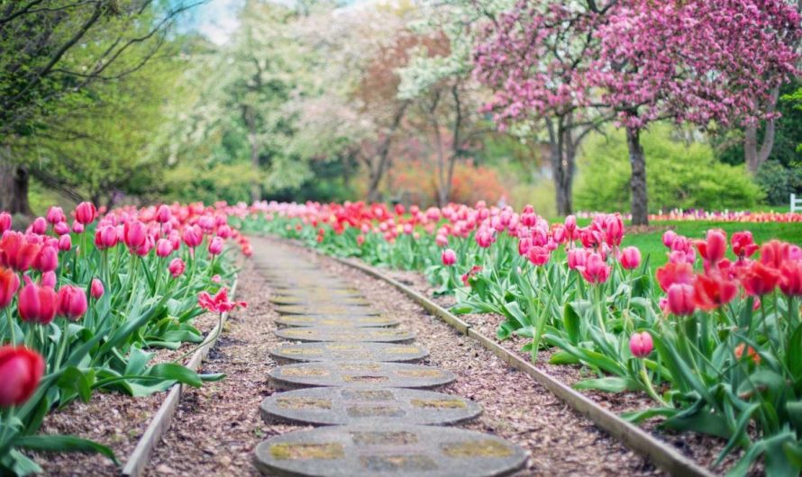 Les 12 secrets d’un jardin époustouflant au printemps